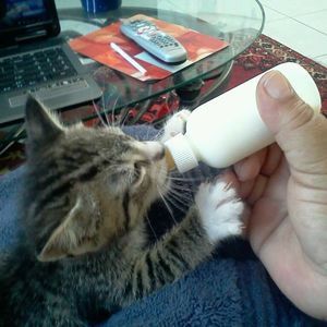 Meet your Posher, Vicky